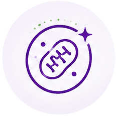Health Intent Icons 0000s 0000 Layer